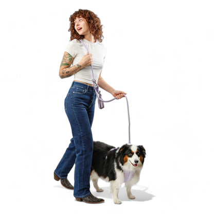 Kismet Dog Leash - Pet Leashes - Come Here Buddy