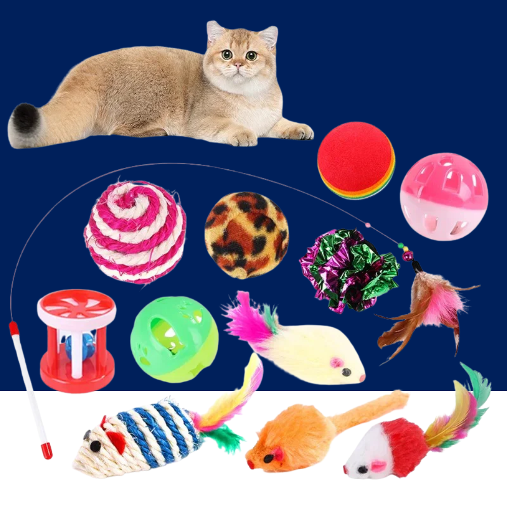 Cat Toy Kitten Variety Pack Set
