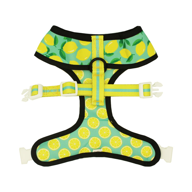 Worth The Squeeze Reversible Harness - Dog Harnesses - Pawmigo