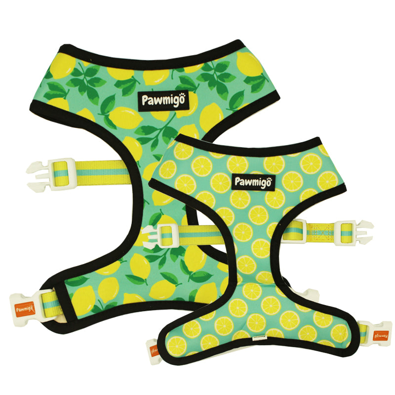 Worth The Squeeze Reversible Harness - Dog Harnesses - Pawmigo - XS - SU21 - WTS - RH - XS