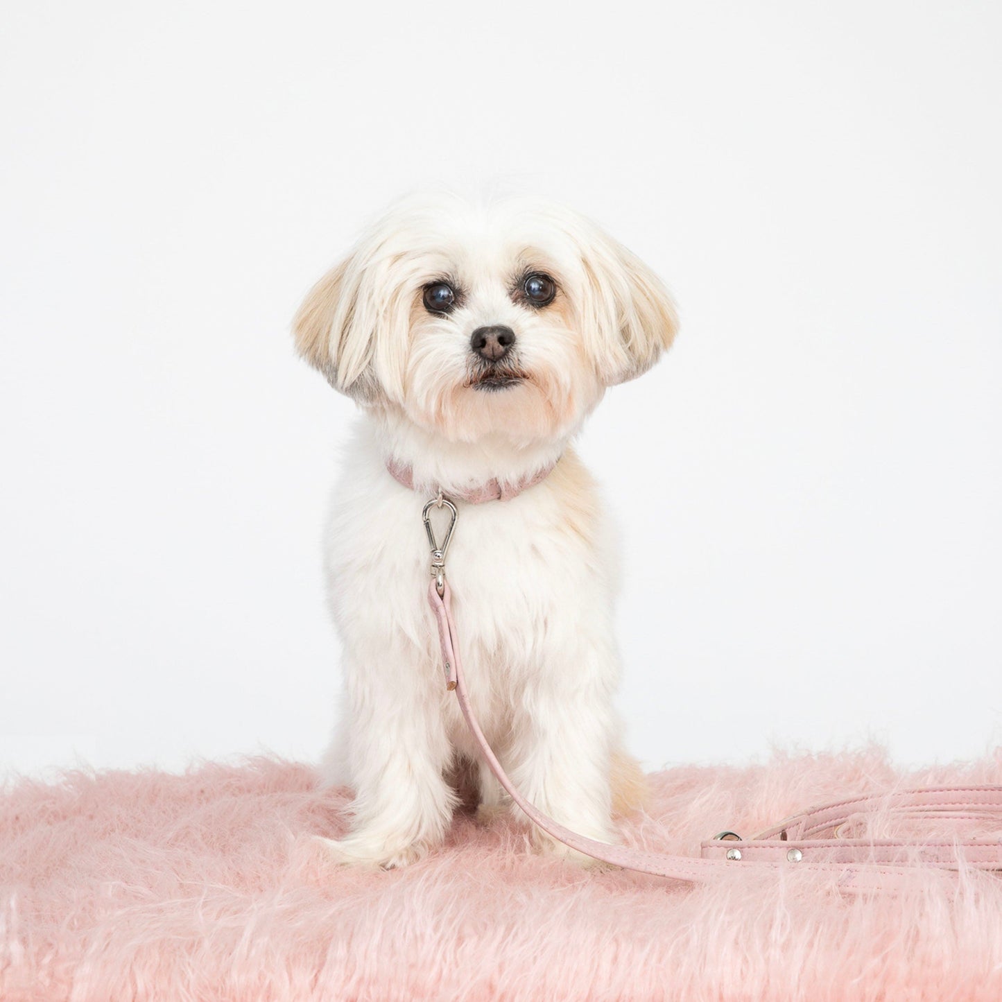 Love Pink Cork Leather Leash - Purrfect Pet Kingdom