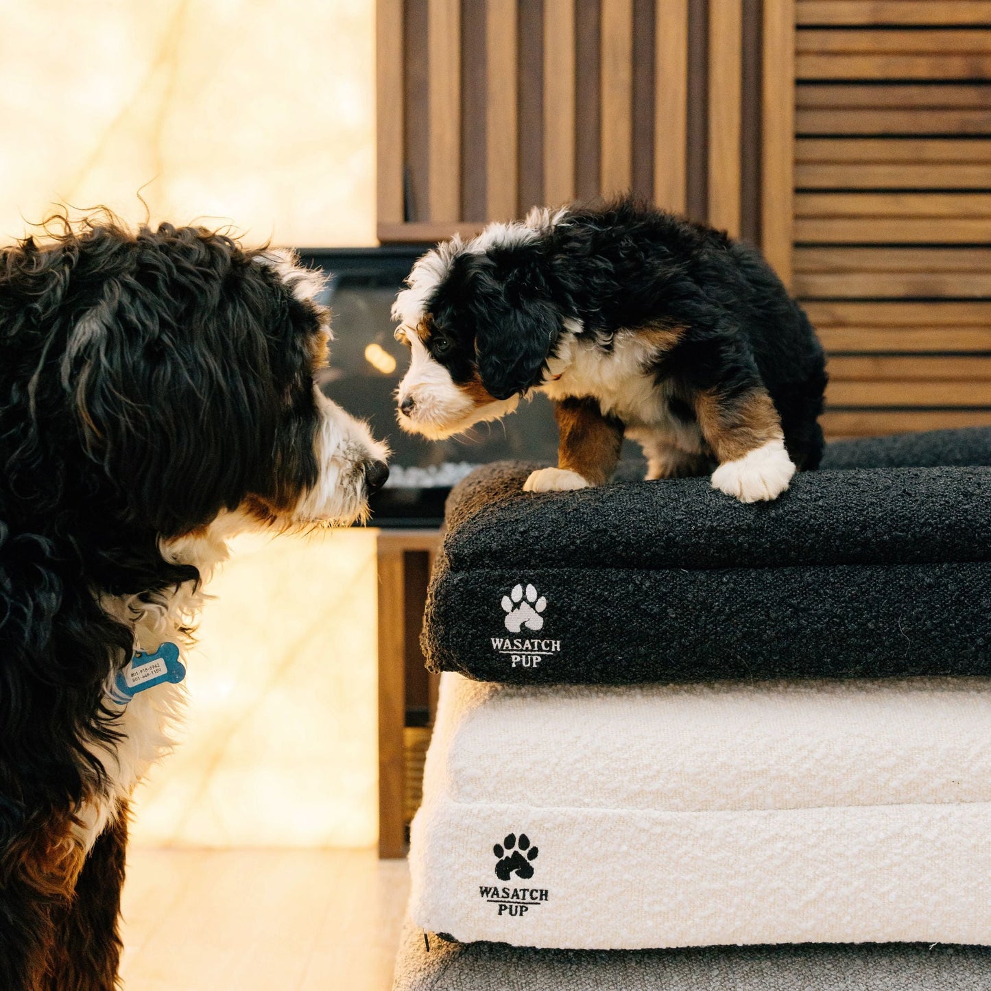 Luxury Orthopedic Dog Bed - Wasatch Pup