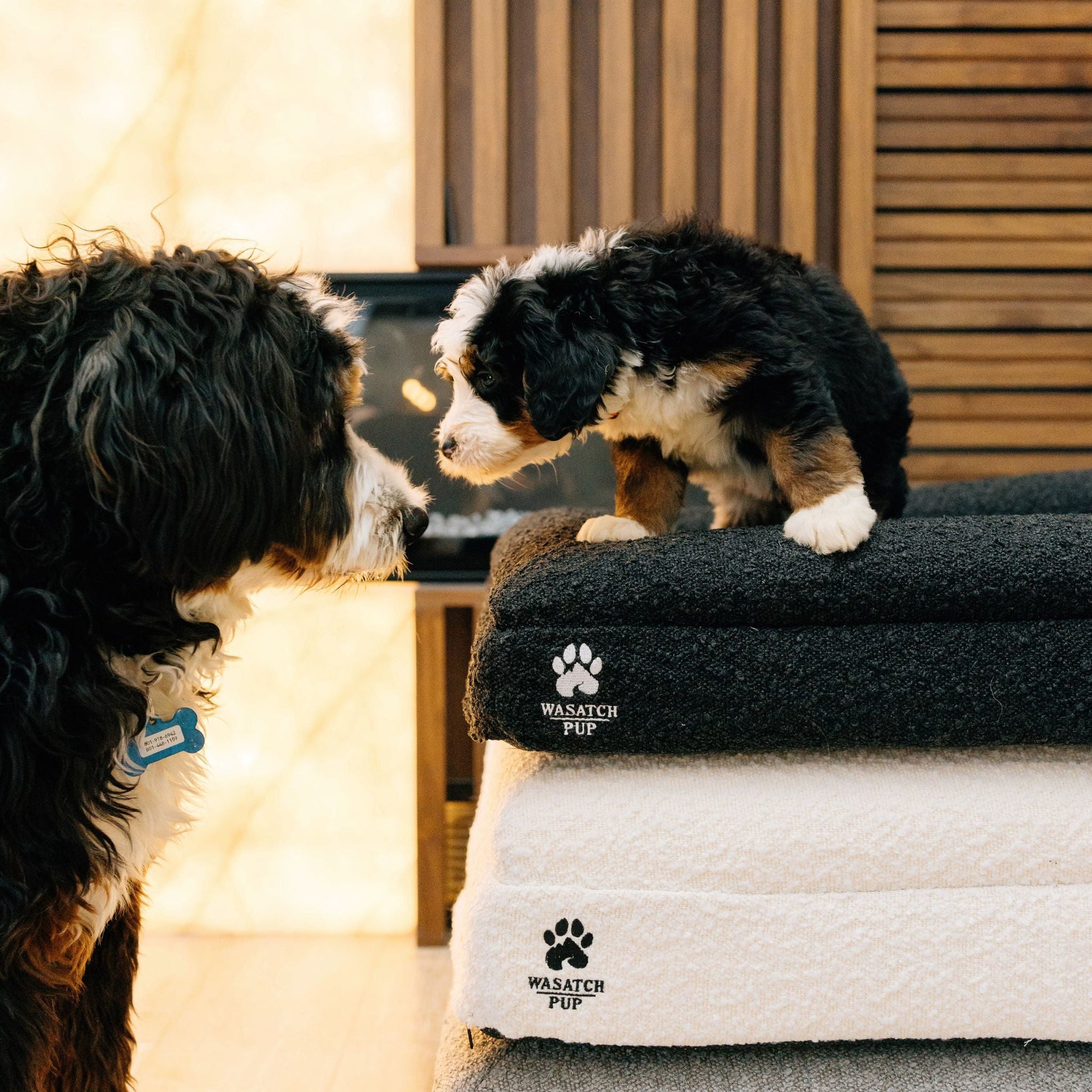 Luxury Orthopedic Dog Bed - Wasatch Pup