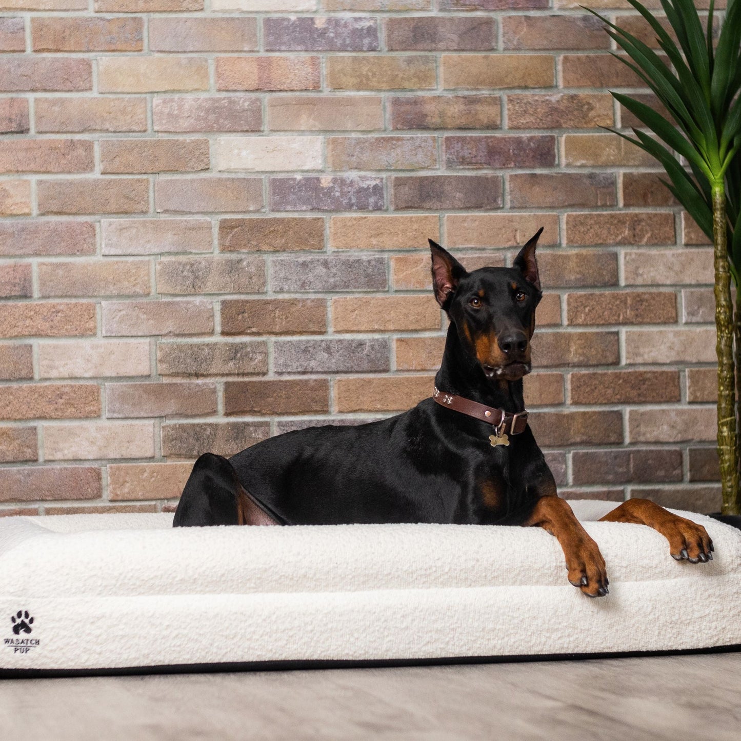 Luxury Orthopedic Dog Bed - Wasatch Pup
