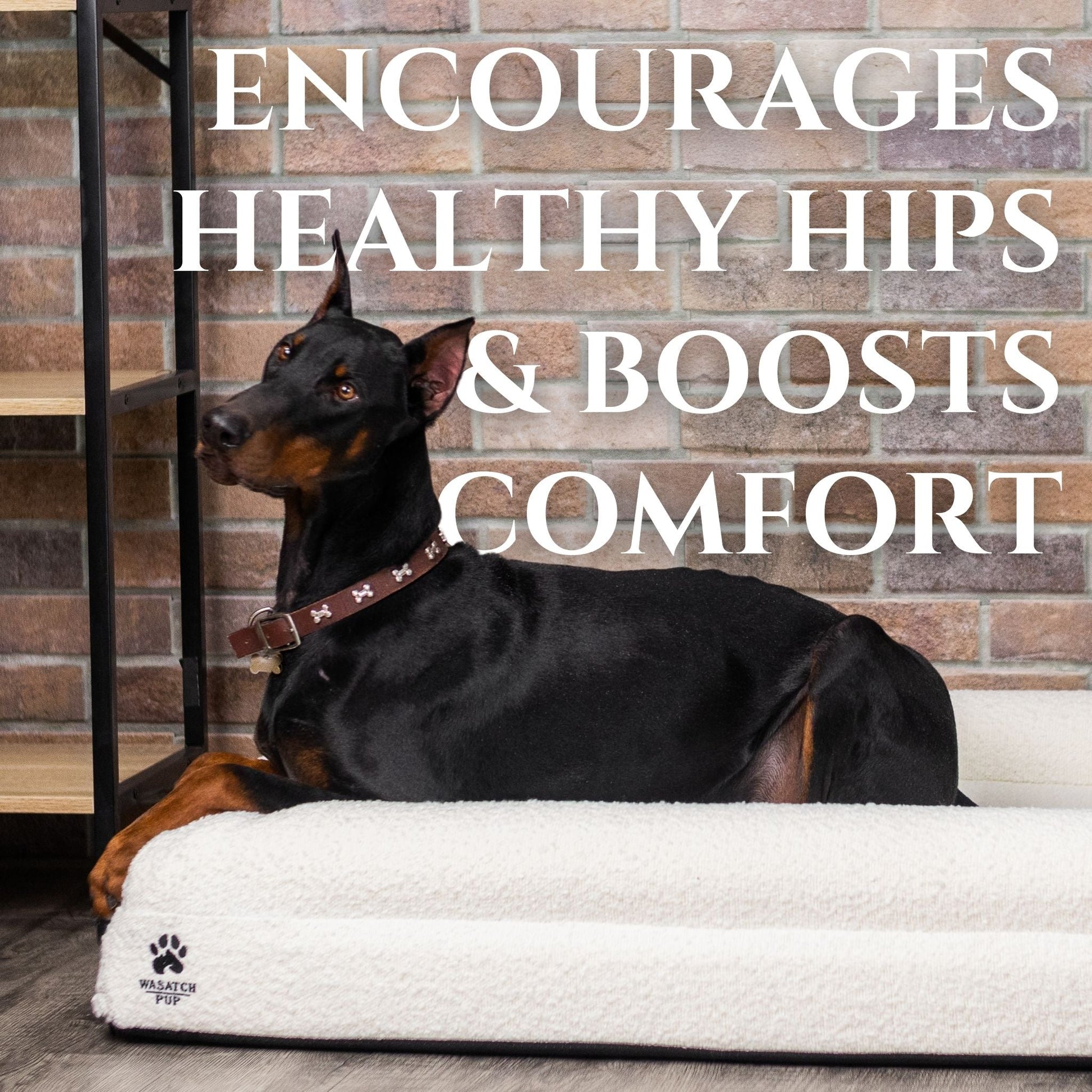 Luxury Orthopedic Dog Bed - Wasatch Pup