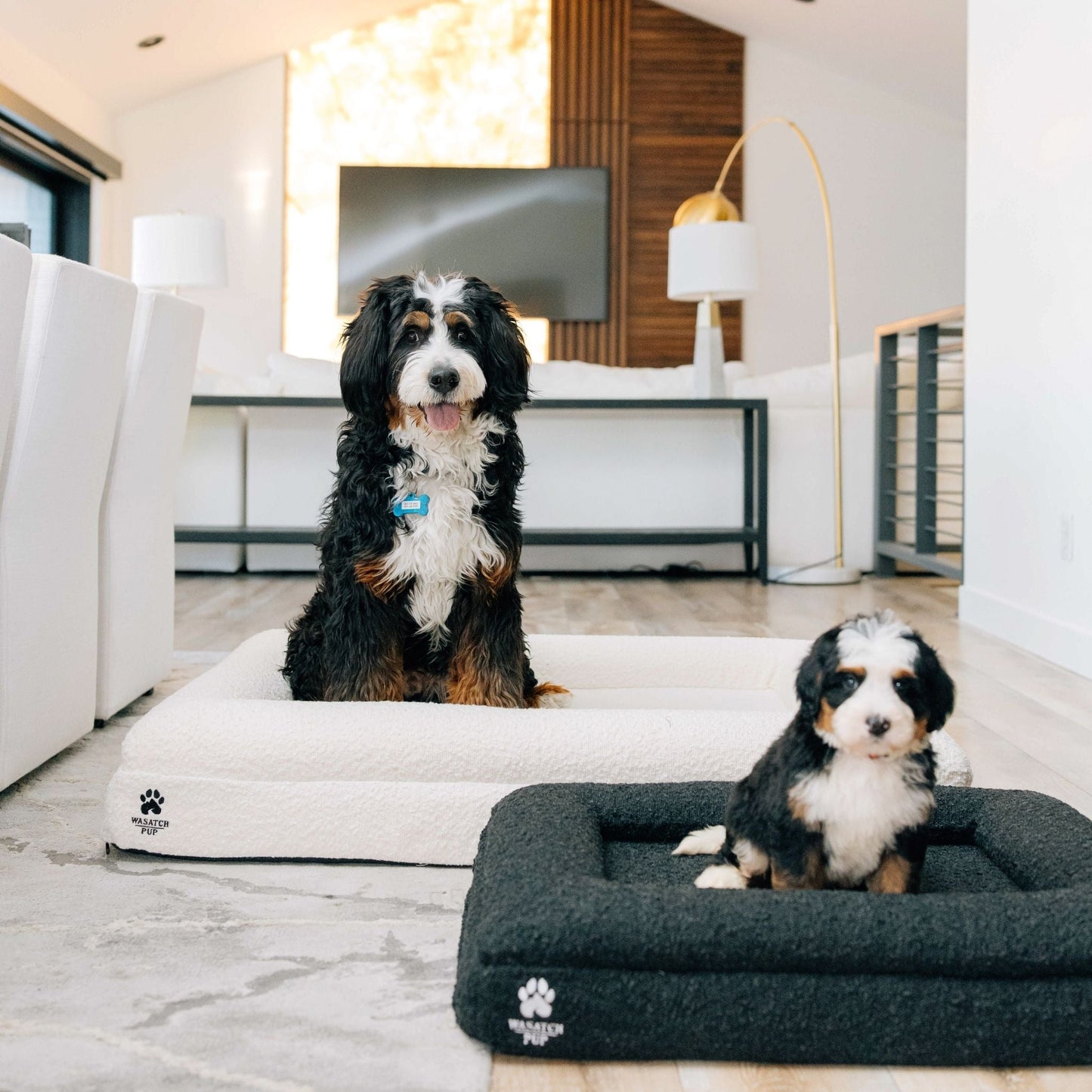 Luxury Orthopedic Dog Bed - Wasatch Pup