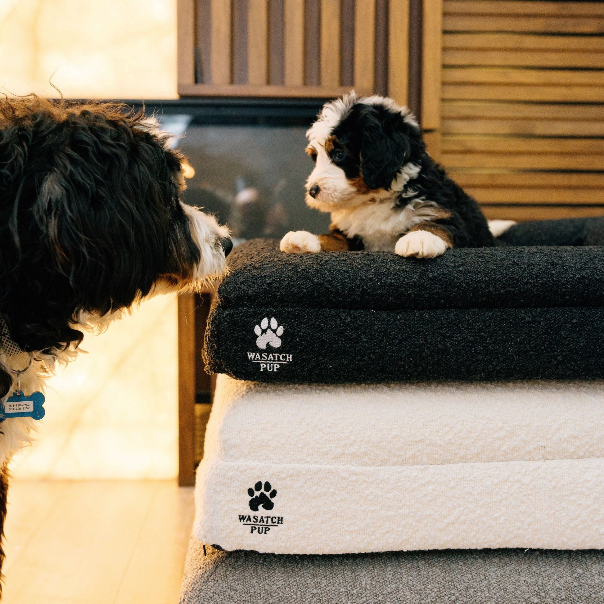 Luxury Orthopedic Dog Bed - Wasatch Pup