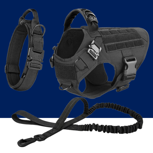 Large Dog Harness & Leash Set – Training Vest for Big Breeds