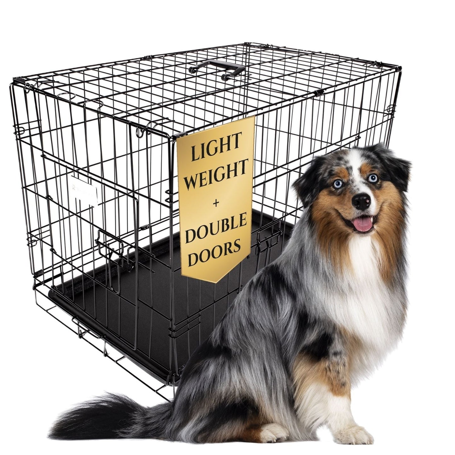 Classic Wire Kennel - Wasatch Pup