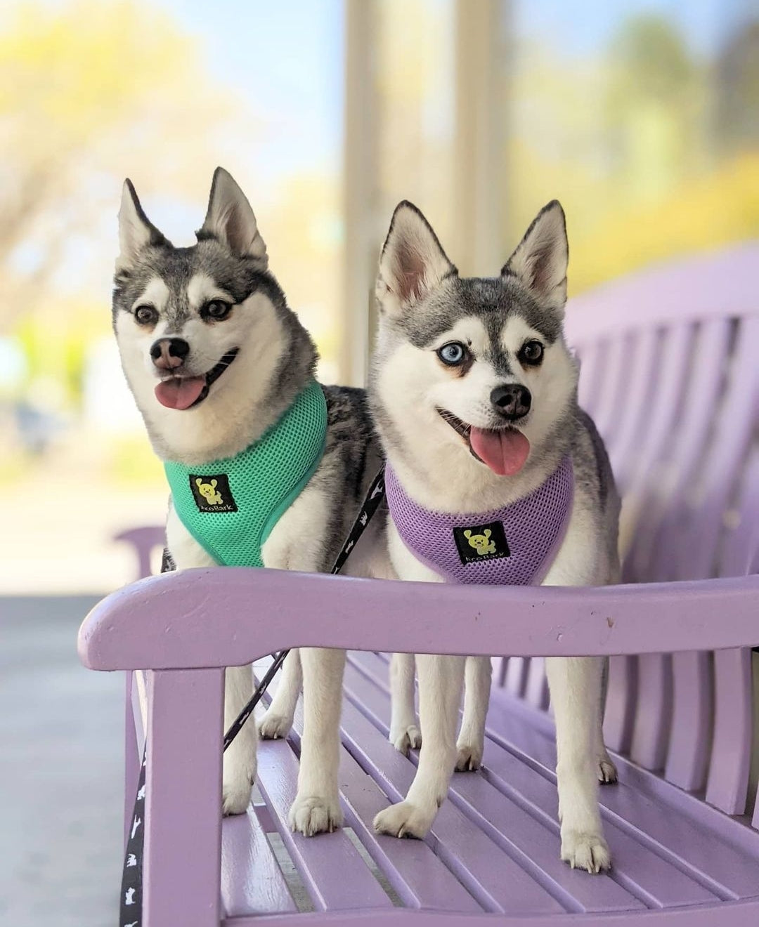 Dog Harness EcoBark Lavender Harness Over-the-Head Soft Mesh - gallery product image for dog harness