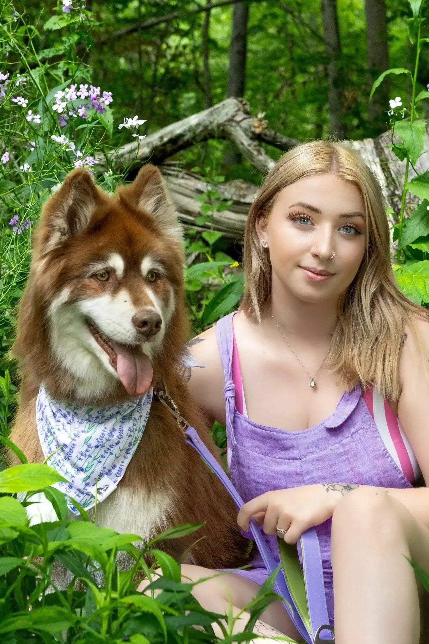 Lavender Blooms Dog Bandana & Matching Keychain - Purrfect Pet Kingdom