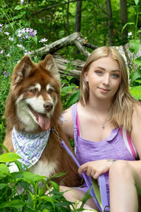 Lavender Blooms Dog Bandana & Matching Keychain