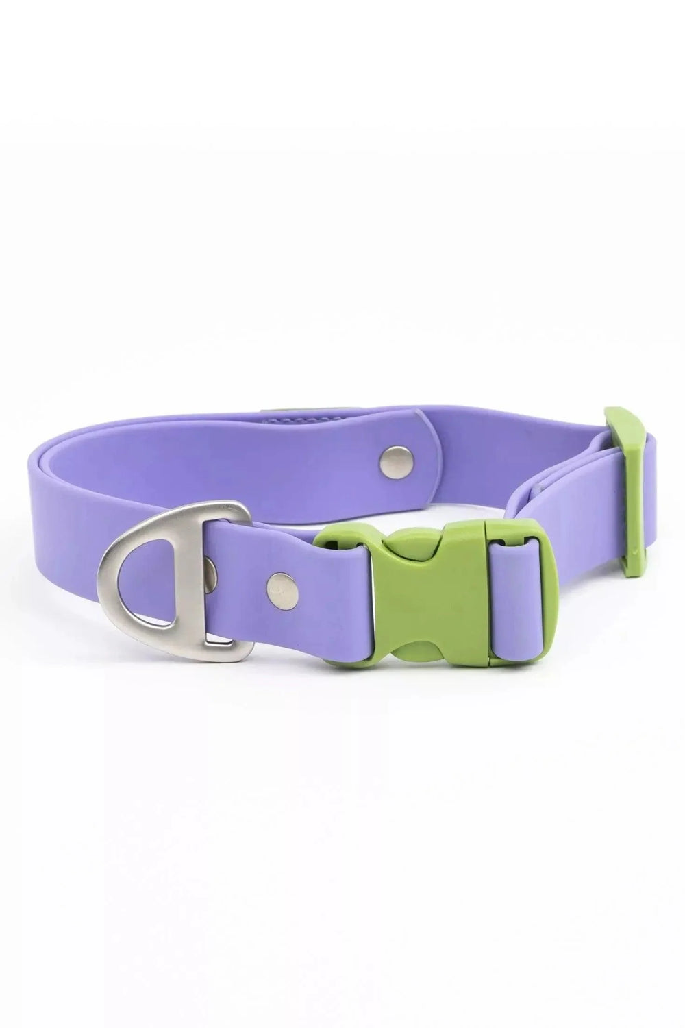 Lavender Garden Waterproof Dog Collar