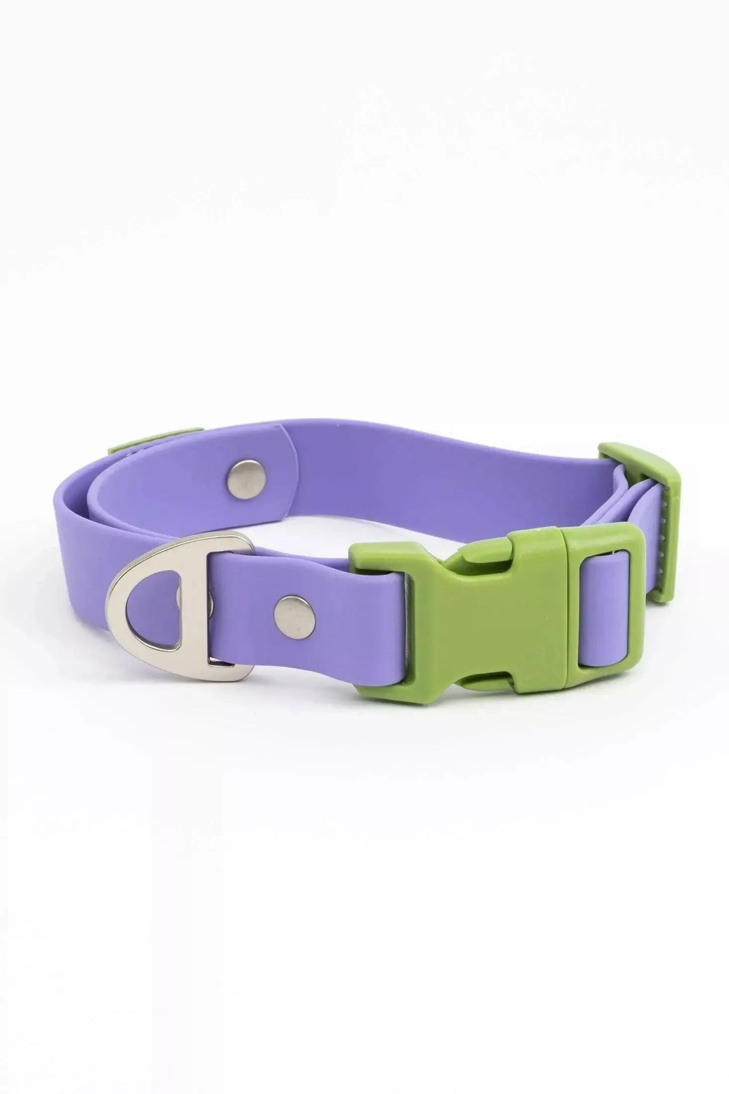 Lavender Garden Waterproof Dog Collar - Dog Collar - Aria the Fox - Lavender / Meadow Green - 11 - 13 - CO24LG01