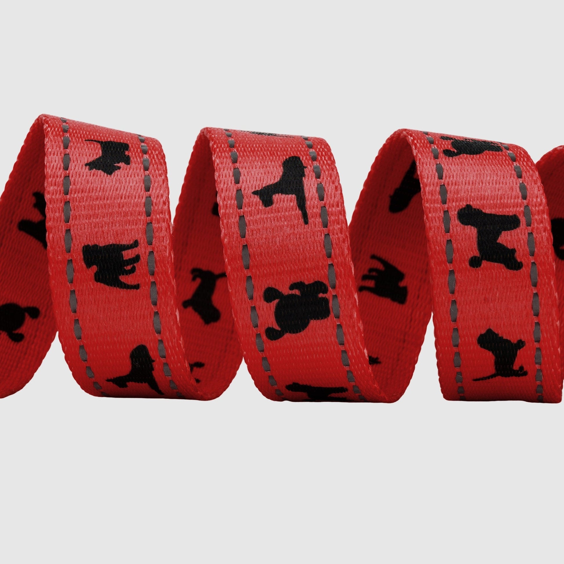Eco Style Dog Leash for Daily Walks for Royal Pet Homes - Dog Leash view 12 from Purrfect Pet Kingdom