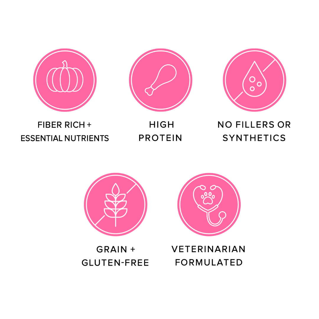 Ava's Pet Palace Freeze Dried Dog Treats Bag - Turkey Poppers