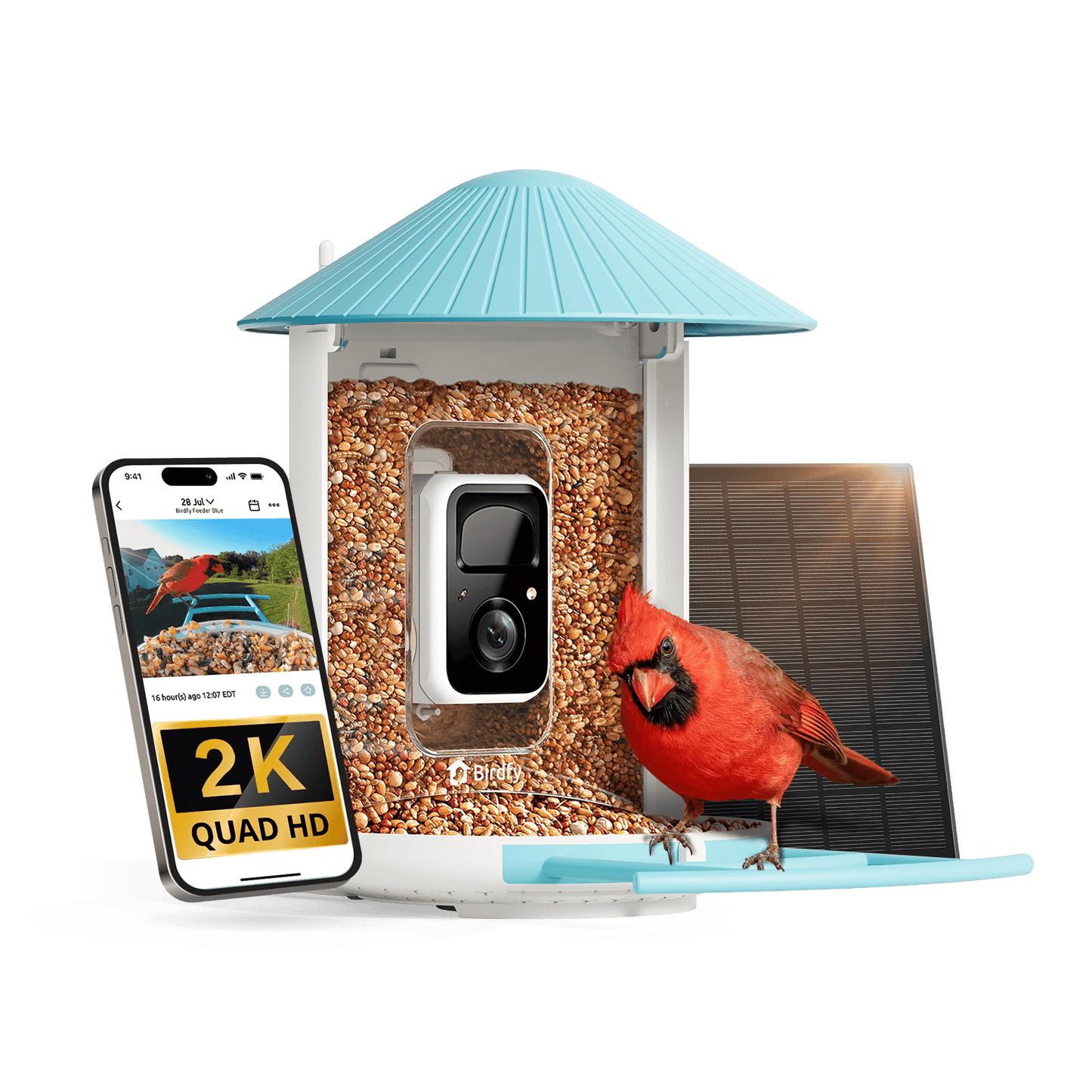 Bird Feeder – Birdfy Solar-Powered Smart Camera Video Tank
