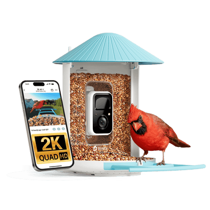 Birdfy Feeder - AI-Powered Smart Bird Feeder with Camera