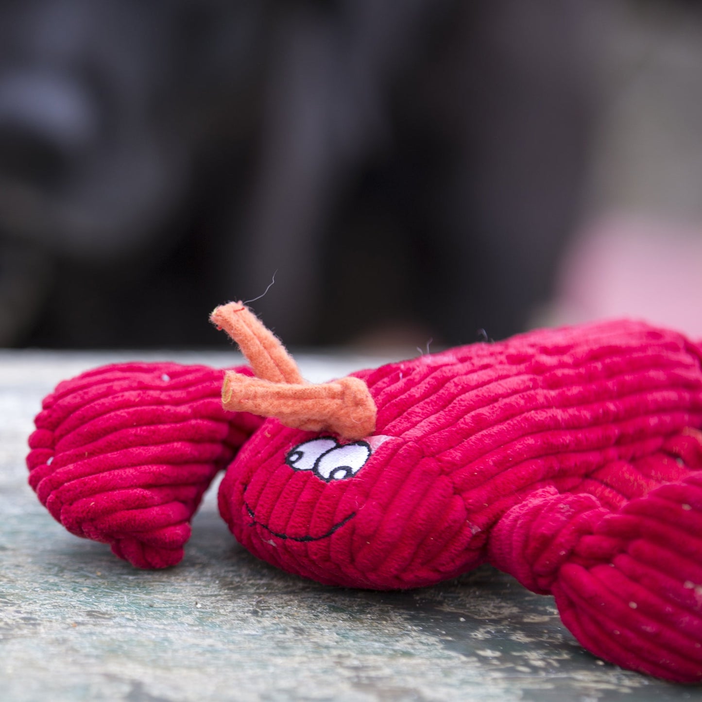 Dog Toy McCraken Lobsta Knottie Plush Toy for Daily Use - gallery product image for dog toy