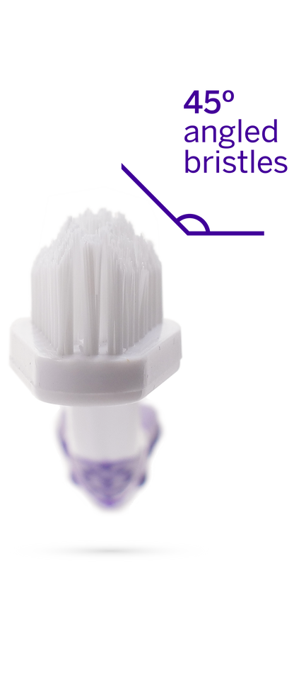 Professional Toothpaste London Broil Small & Professional Pet Toothbrush