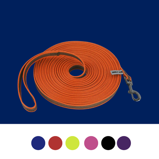 Long Dog Leash - Dual Color, Easy Training