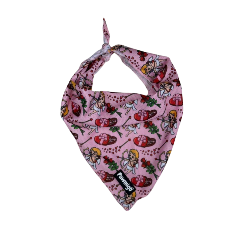 Lovestruck Bandana | Purrfect Pet Kingdom