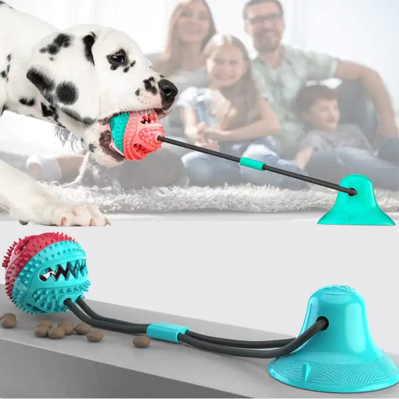Silicone Suction Cup Dog Toy - Mimarta
