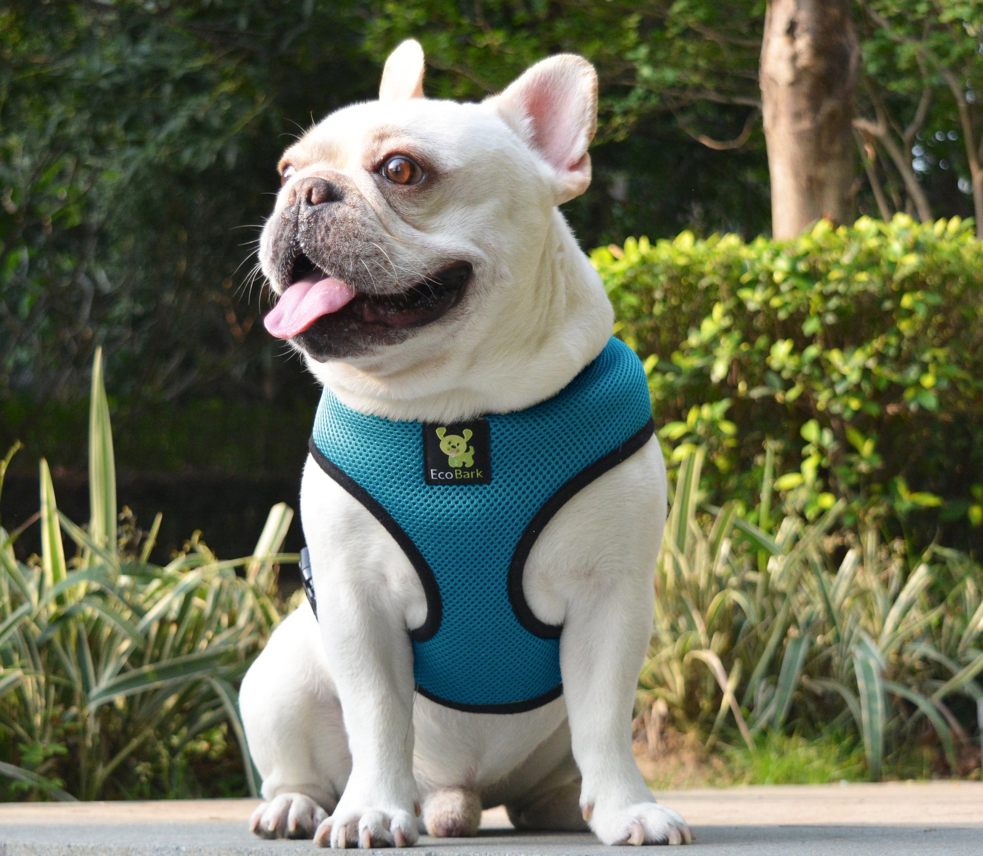 Dog Harness EcoBark Teal Harness Over-the-Head Soft Mesh - gallery product image for dog harness