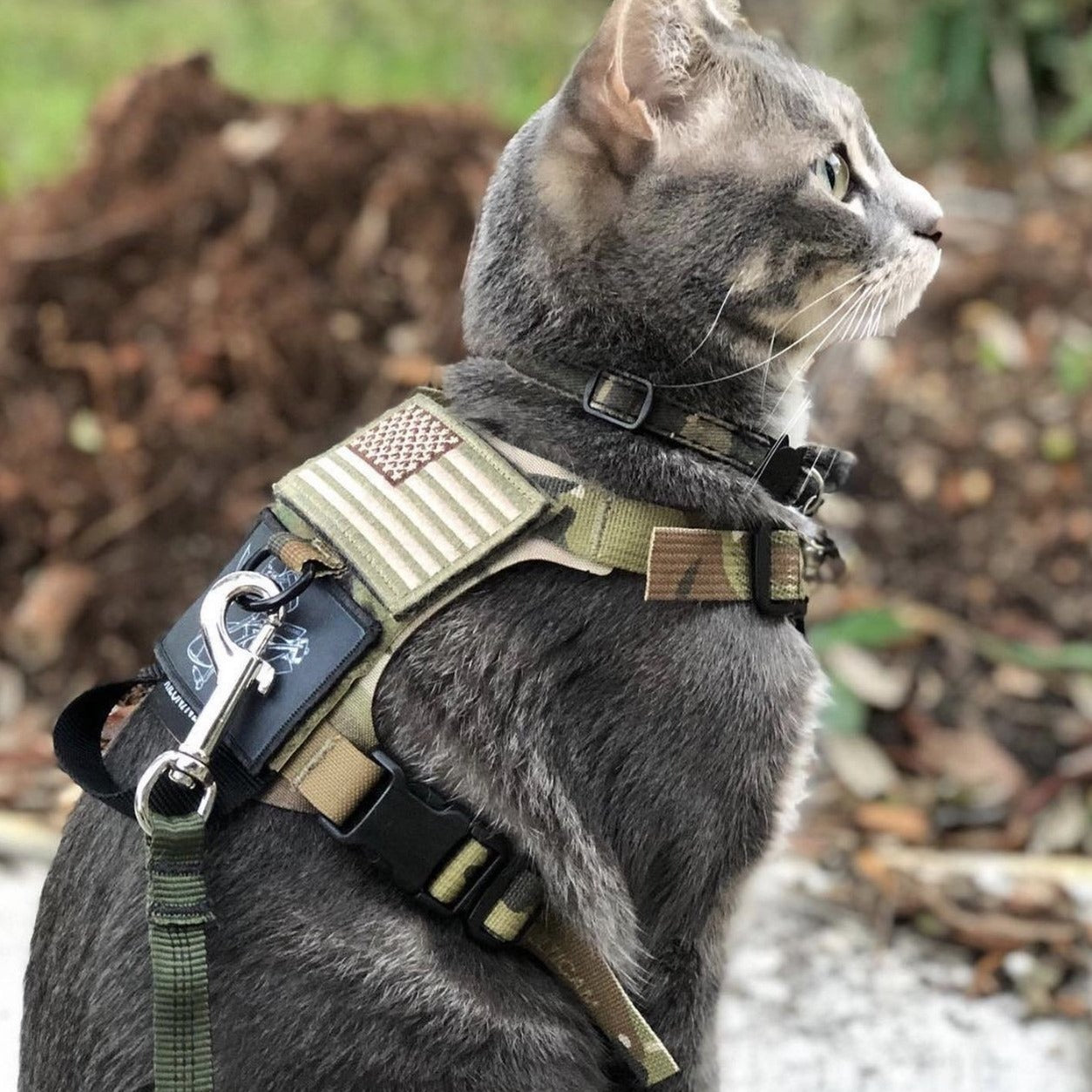 K9R - M1 Lightspeed Harness for Cats