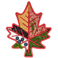 Canadian Maple Leaf Nylon Dog Chew Toy - Indestructible & USA Made