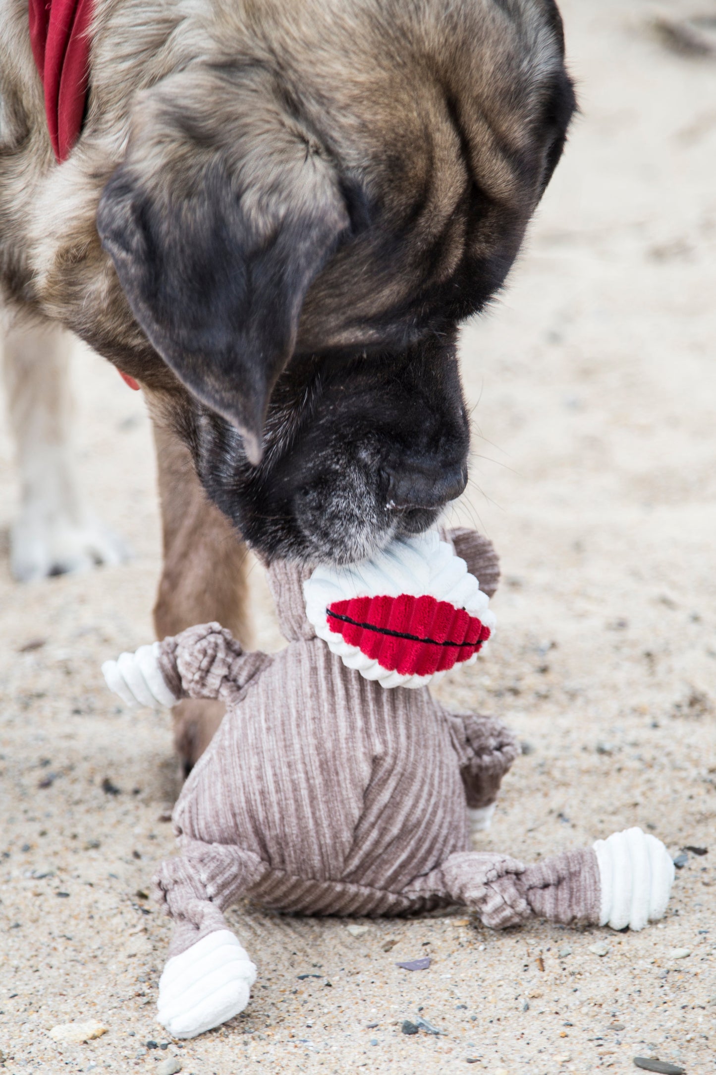 Dog Toy Stuey Sock Monkey Knottie Plush Toy for Daily Use - gallery product image for dog toy