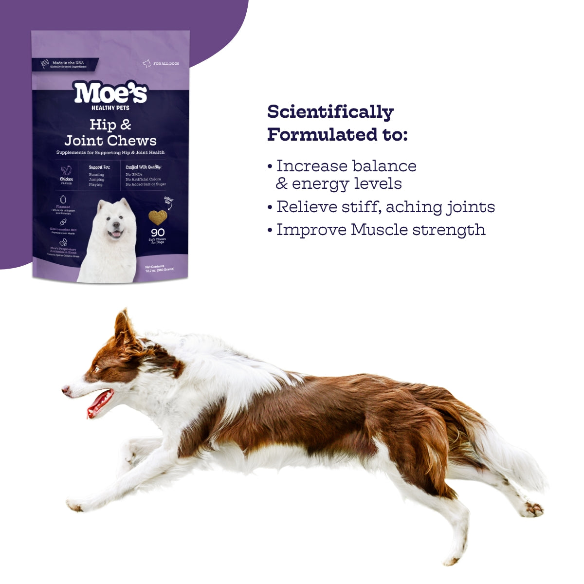 Hip & Joint Chews - Moe's Healthy Pets