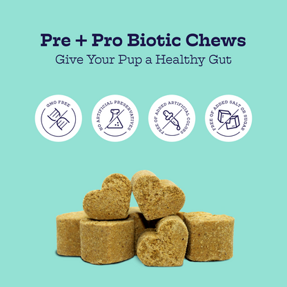 Pre + Pro Biotic Chews - Moe's Healthy Pets