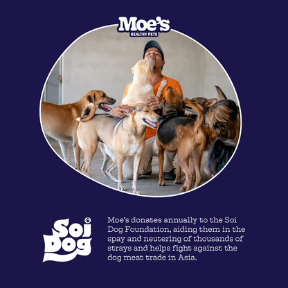 Pre + Pro Biotic Chews - Moe's Healthy Pets