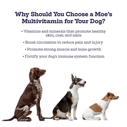 Multi - Plus Chews - Moe's Healthy Pets
