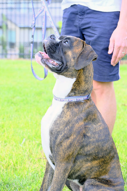 Purrfect Pet Kingdom Outdoor Style Mountain Sunset Nylon Dog Collar (S 5/8" Wide 11"-16" Range) - Premium Dog Collars > Waterproof Dog Collars > Quality Nylon Dog Collars