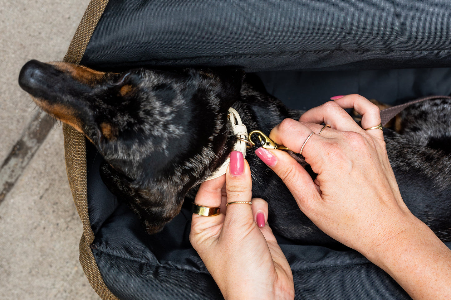 BESPOKE PAWS Packable Pet Carrier Medium Army Green