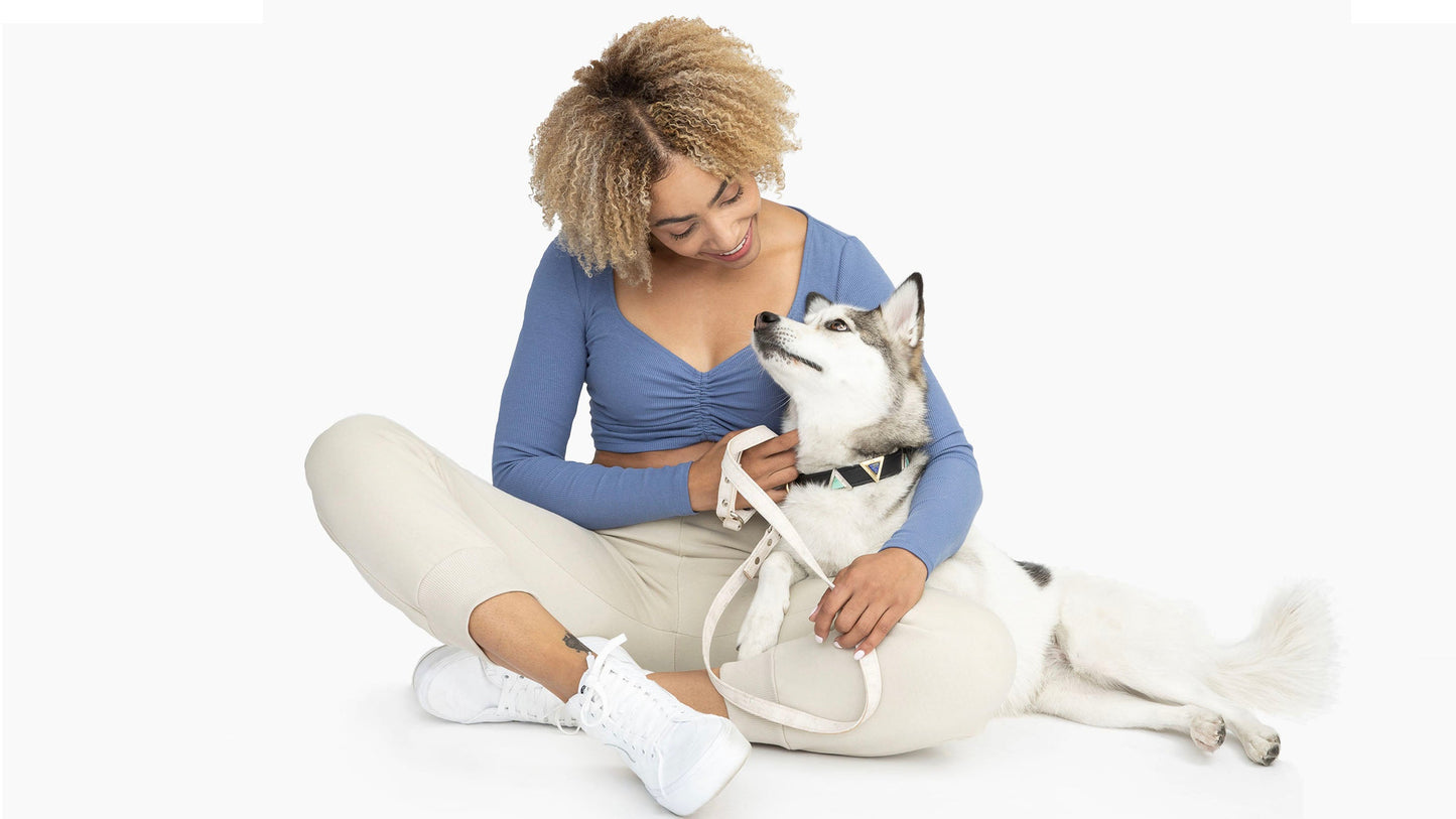 Cloud White Cork Leather Collar - Purrfect Pet Kingdom