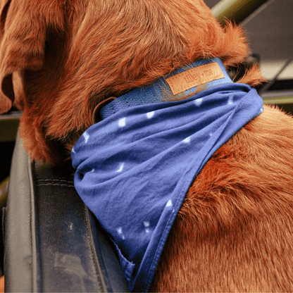 Malibu Sunset Sustainable Hemp Cotton Adjustable Dog Collar– Durable & Soft - Collars + Leashes - Tilley + Me
