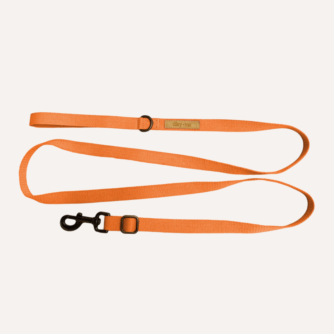 Dog Leash Hemp Cotton Sustainable Blue 🦮