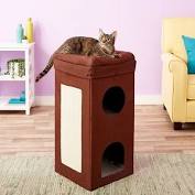 Purrfect Pet Kingdom Curious Cube Cat Condo for Indoor Kittens