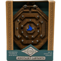Minotaur's Labyrinth Brainteaser Puzzle True Genius