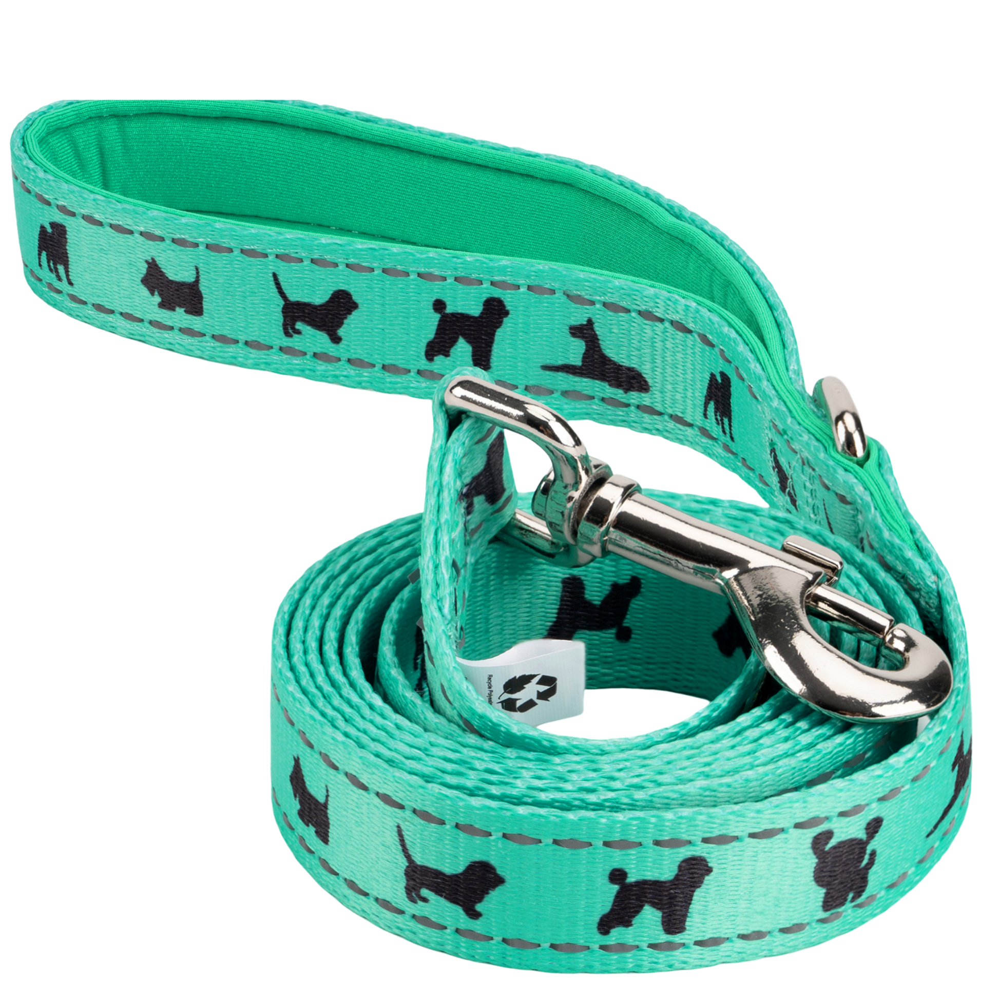 Dog Leash EcoBark Mint Turquoise Leash Comfort Grip Padded - main product image for dog leash