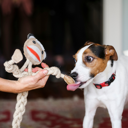 Stuey Sock Monkey Natural Rope Knottie® Dog Toy, Large (9mm