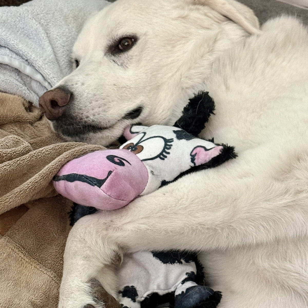Purrfect Kingdom™ - Moo Ria The Cow Interactive Plush Toy