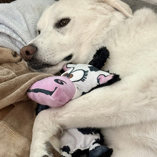 Purrfect Kingdom™ - Moo Ria The Cow Interactive Plush Toy