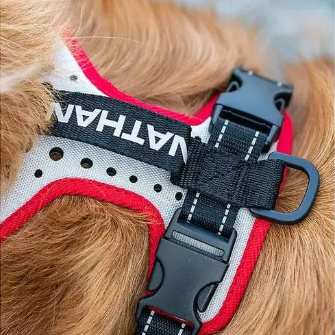 Dog Harness Reflective Safety 🐾 - Purrfect Pet Kingdom