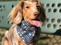 "Classic Bandana" Dog Bandana