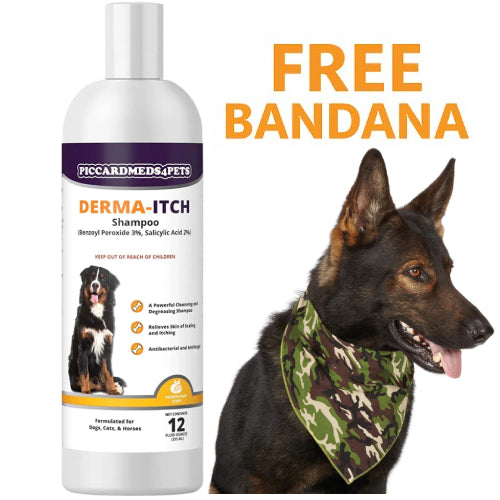 Piccardmeds4pets Derma-Itch Shampoo for Dogs 12 oz. + FREE