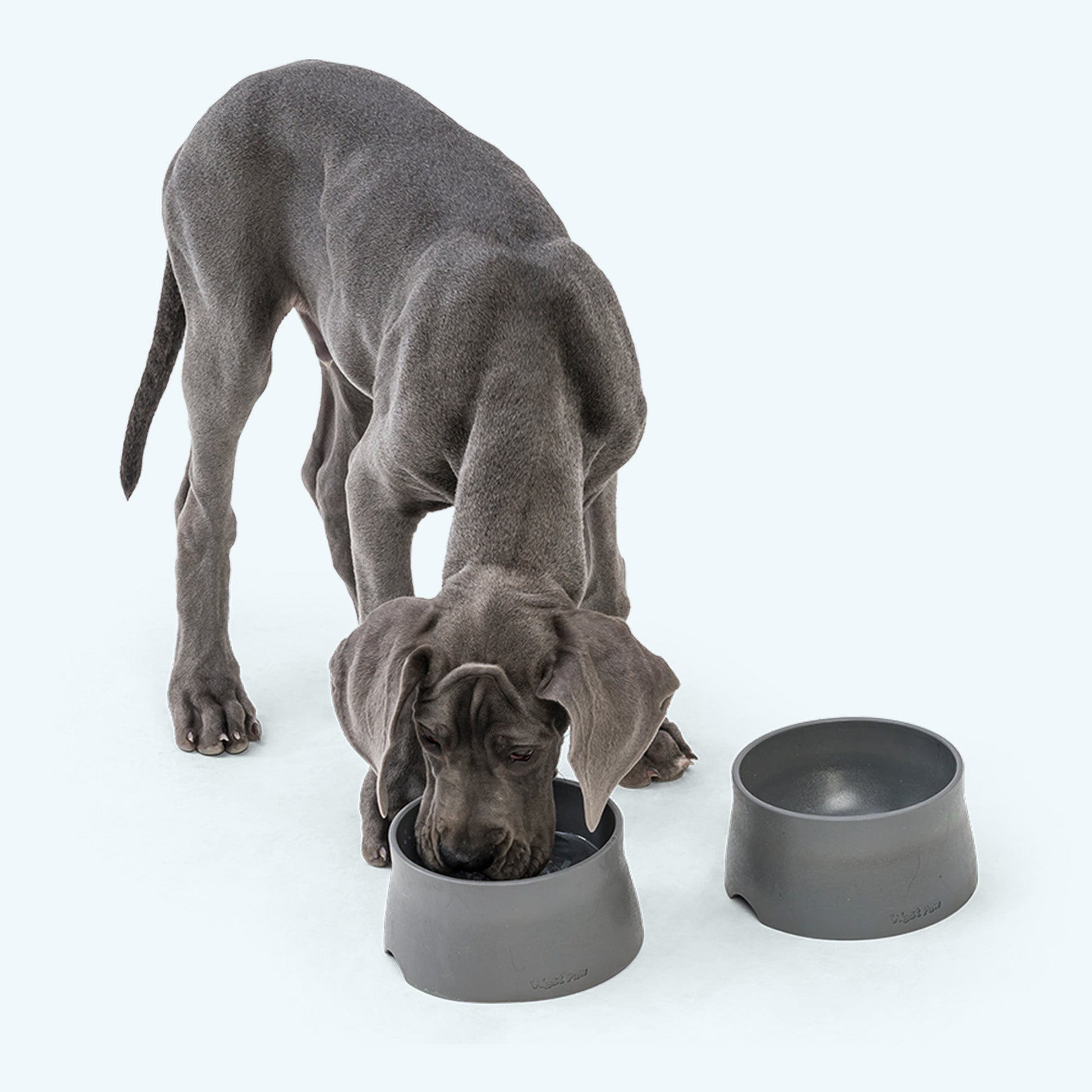 Pet Bed Bed Non-Slip Bowl for for Daily Use for Comfort - close up product image for pet bed